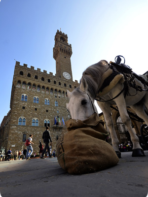 Palazzo Vecchio Palazzo Vecchio