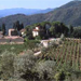 Frascole