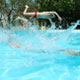 Pools in Florence