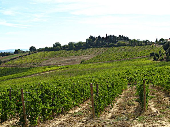 siena10