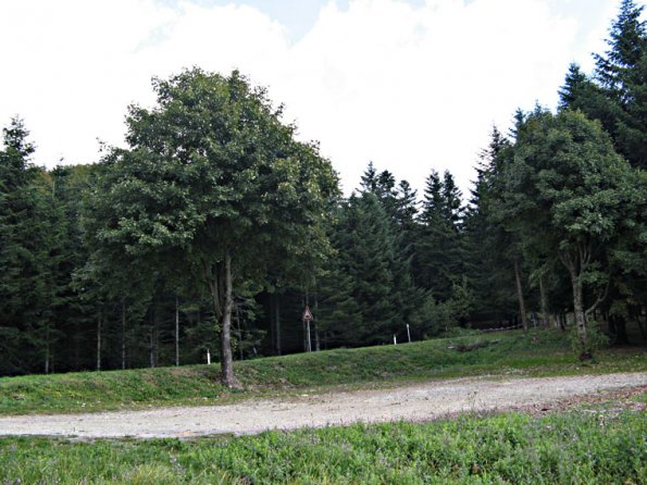 passo_sambuca2