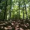 monte_secchieta7
